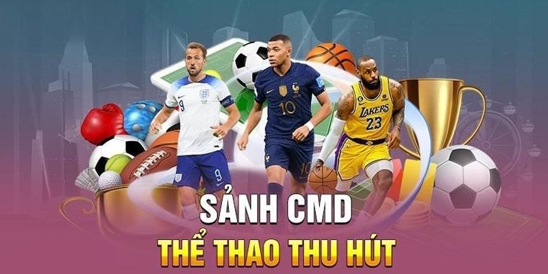 Nhà cung cấp CMD uy tín chất lượng